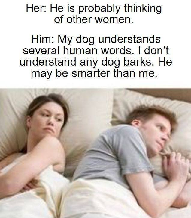 HIHI