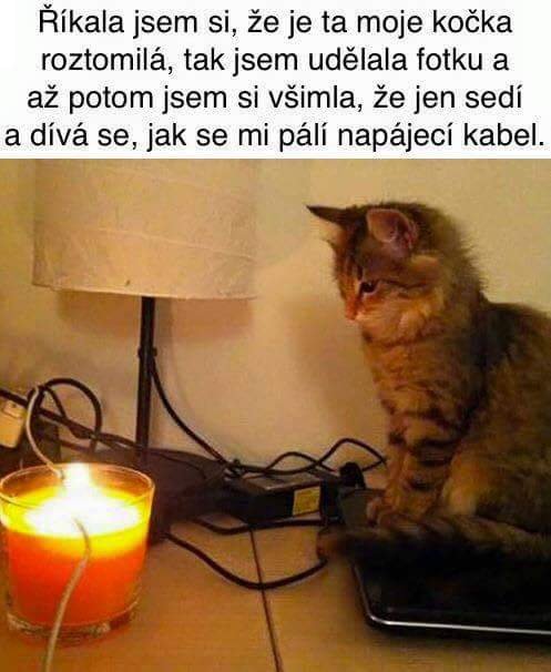 Obrázok bez popisu č.1032932