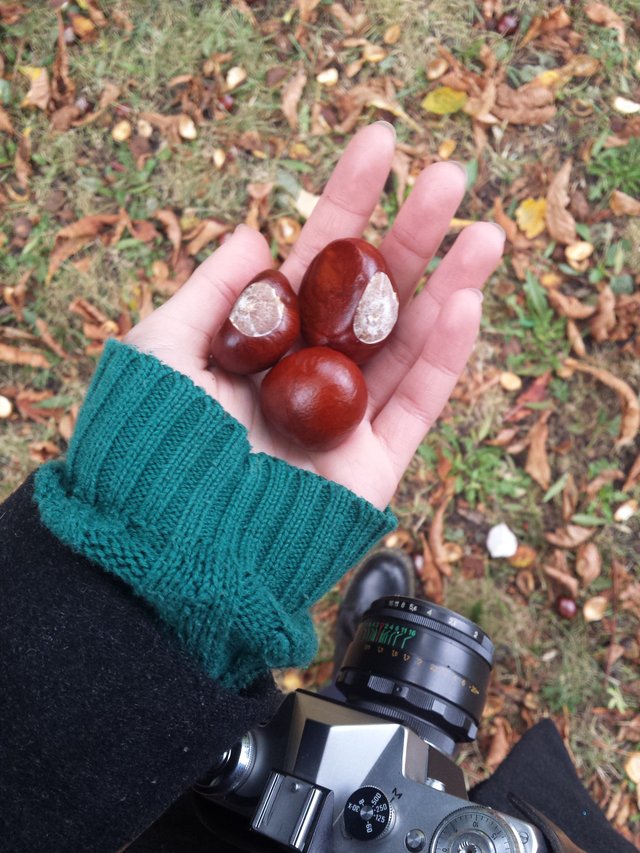 Henrieta nebuď smutná. Choď si do lužánok nazbierať gaštany.