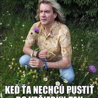 Ukážka z nezaradených obrázkov