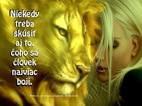 Obrázok bez popisu č.1039269