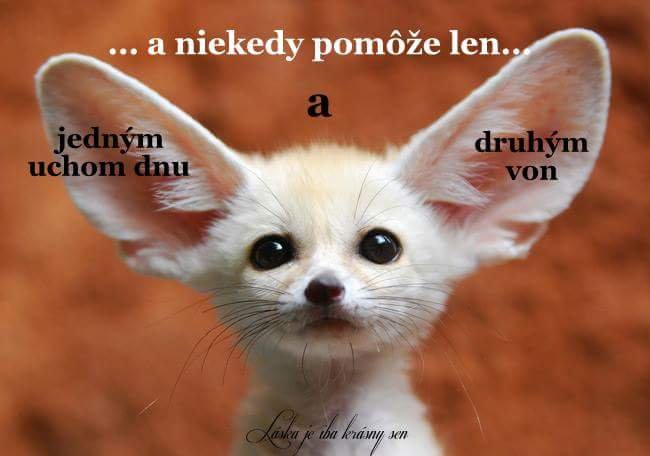 Obrázok bez popisu č.1022516