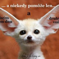 Ukážka z nezaradených obrázkov