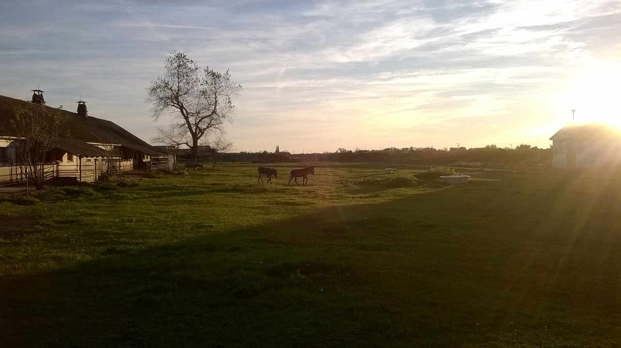 Obrázok bez popisu č.1008536