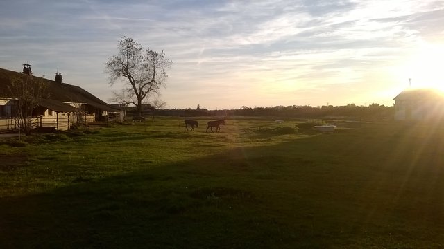 Obrázok bez popisu č.1008536