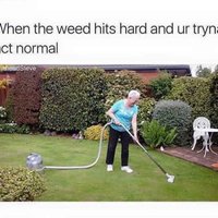 :-Dd