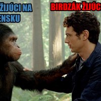 krutá pravda...