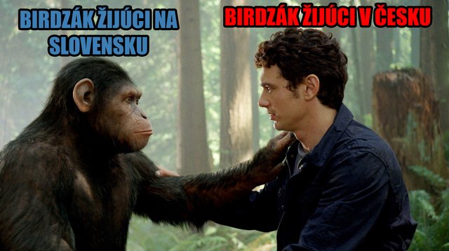 krutá pravda...