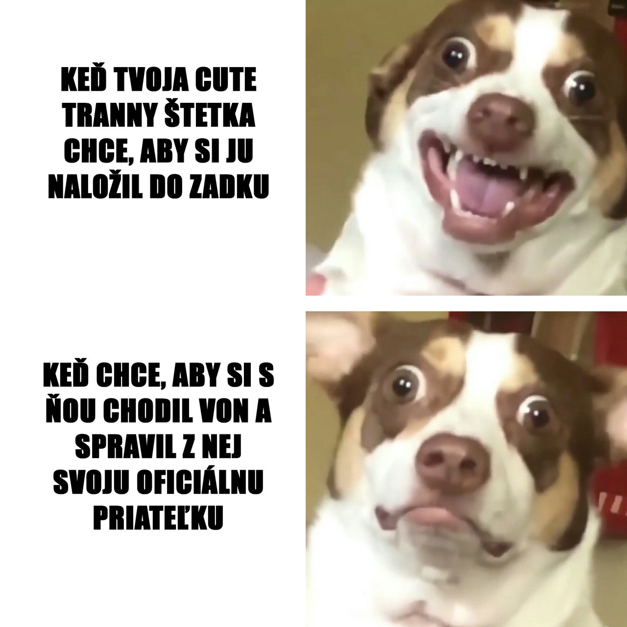 jeden zo života; toto pozná asi každý :)