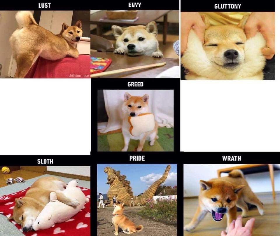 Sins of doggo