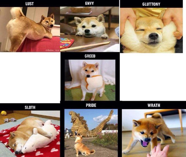 Sins of doggo