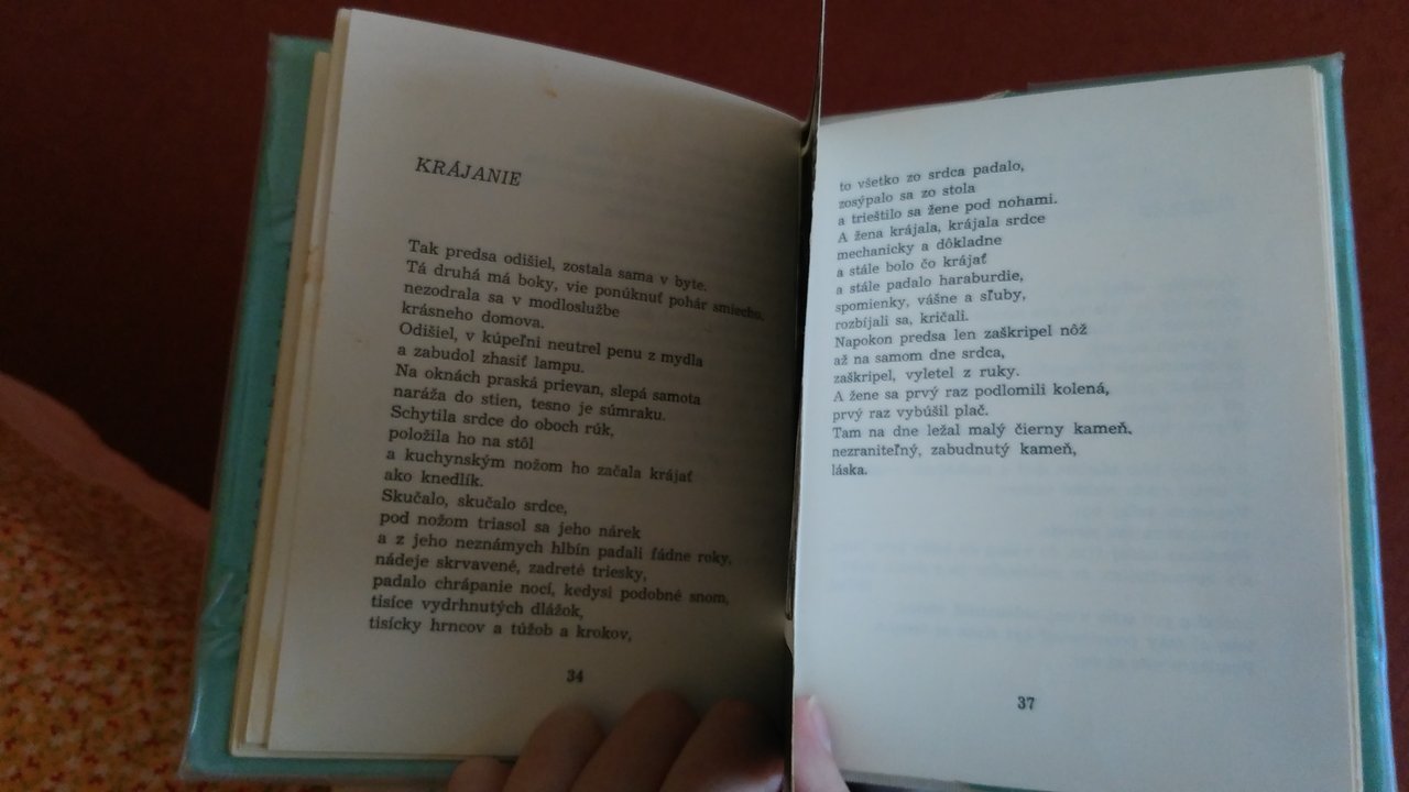 vonku sype a ja krájam srdce s Mihálikom
