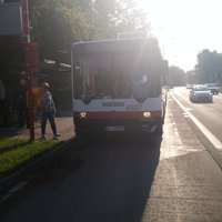 Ukážka z obrázkov v albume Všetko na kope 