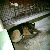 Ukážka z obrázkov v albume Môj peso