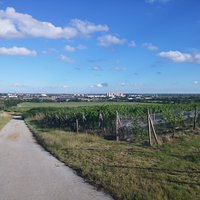 Ukážka z obrázkov v albume Všetko na kope 