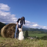 Ukážka z obrázkov v albume 