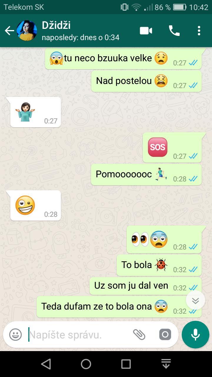 Ja bojim bojim ked tu bzúkajù bzučáci :(
