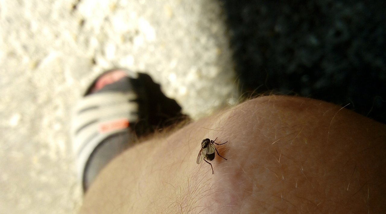 Muchaaaaa zežer mňa !
