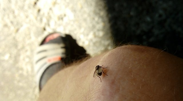 Muchaaaaa zežer mňa !