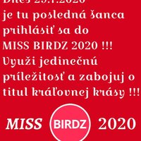 Tik-tak už len posledných pár hodín milé birdzáčky!
Výherkyňa MISS BIRDZ získá exkluzívnu cenu!!! Ohláste sa občianky!!!