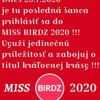 Tik-tak už len posledných pár hodín milé birdzáčky!
Výherkyňa MISS BIRDZ získá exkluzívnu cenu!!! Ohláste sa občianky!!!