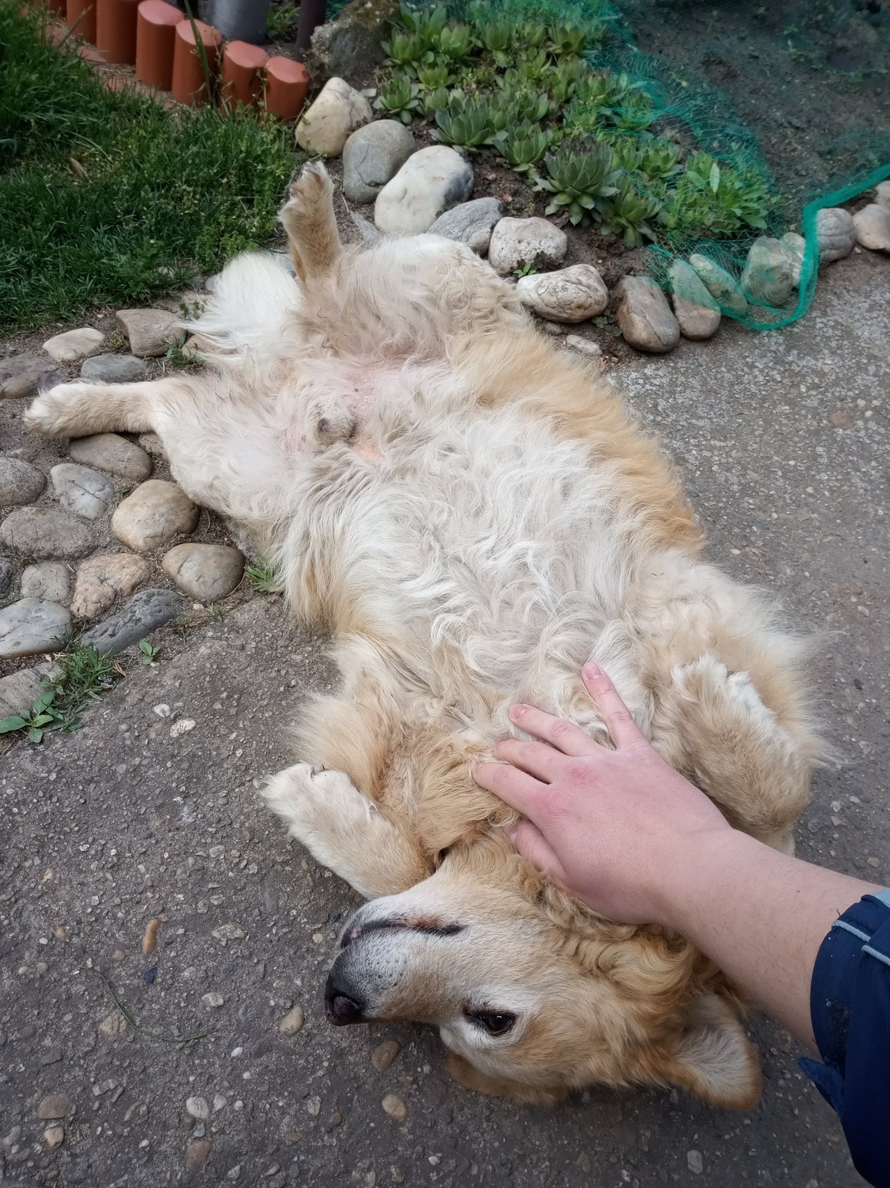 Haf :)