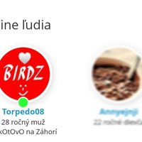 Králom Birdzu sa nemôžeš stať, králom Birdzu sa musíš zobudiť! 