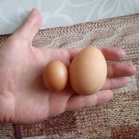 Vajíčko a Vajco :) 