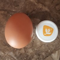 Mini vajíčko 