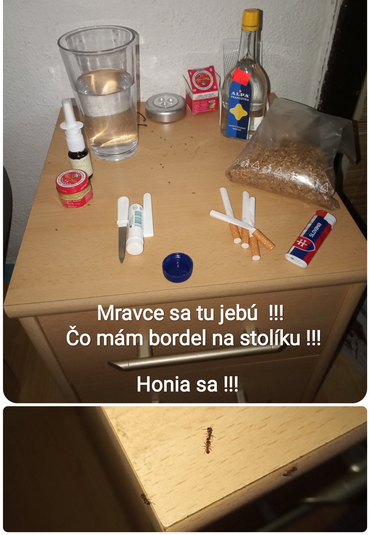 Pozri sa aha ! Mravci chodia ! (som spravou) 