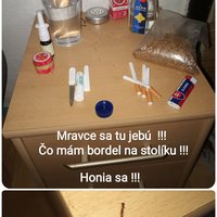 Pozri sa aha ! Mravci chodia ! (som spravou) 