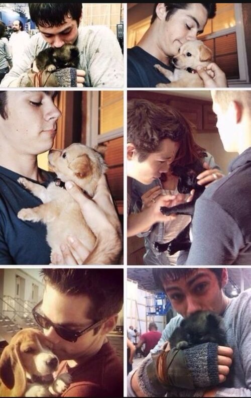 owww dylan 
