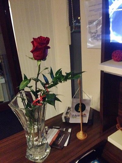 das ist fur dich schone madchen.. aneb silvia a jej zivot na recepcii :D 

