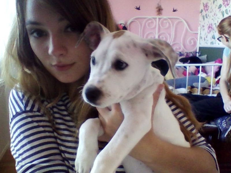 sooo everyone..meet jason