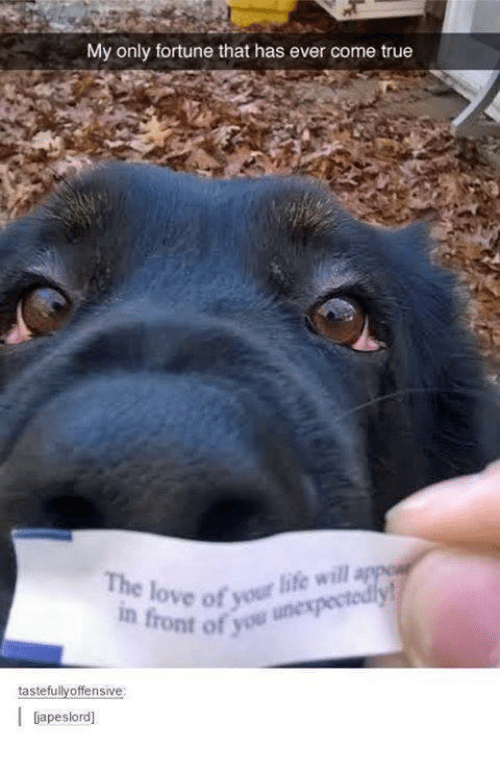 owwww