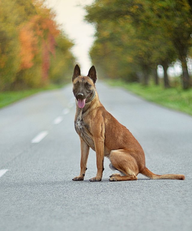cross je láska! 