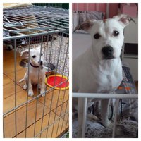v utulku - teraz :) 