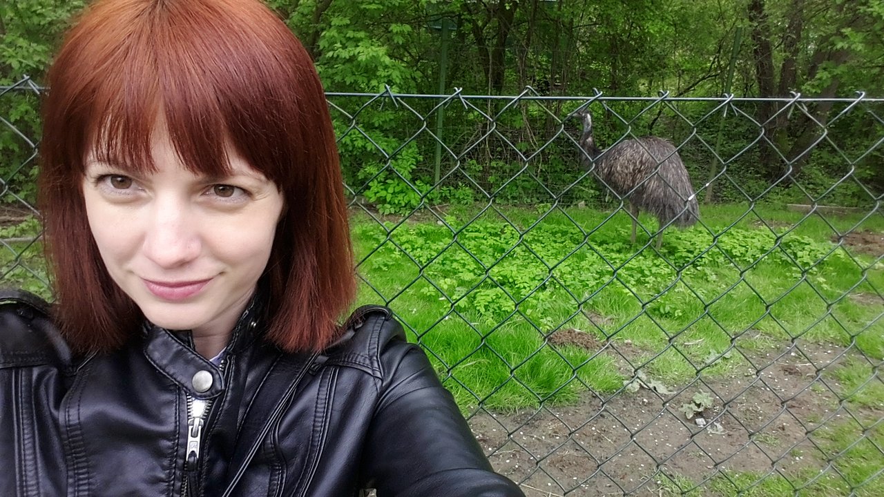 Obrázok bez popisu č.1016528