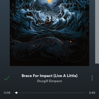 Nie je to metal je to nieco ako country rock 