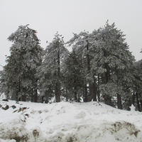 mt olympos (cy)