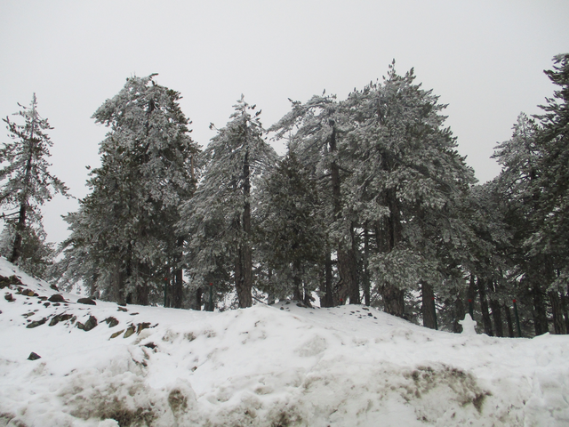 mt olympos (cy)
