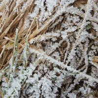 Ukážka z obrázkov v albume Winter collection
