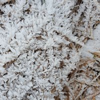 Ukážka z obrázkov v albume Winter collection