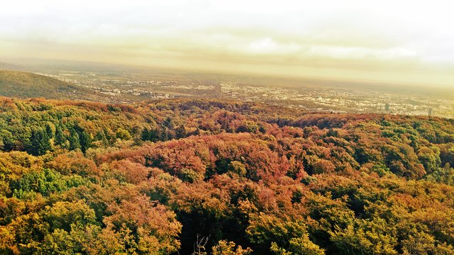 Farbami jesene nad Bratislavou 