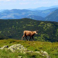 Ukážka z obrázkov v albume Cieľ je samotná cesta