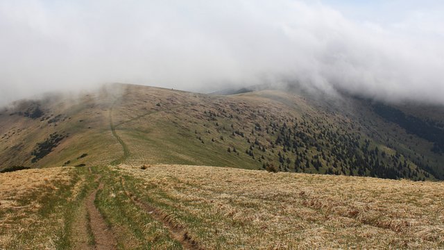 veľké ďakujem patrí všetkým osobám,
ktoré som spoznal na tej ceste a čo spoznám ešte