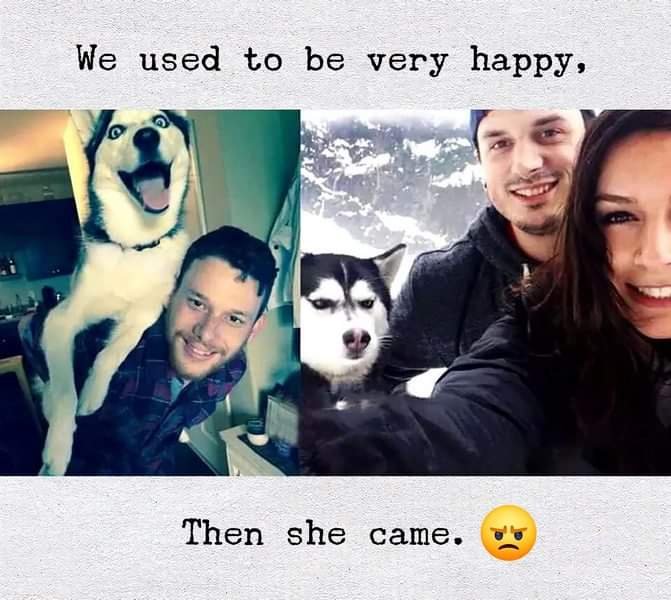 xD