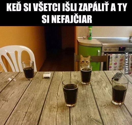 Obrázok bez popisu č.1014442