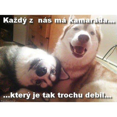 Obrázok bez popisu č.1014441