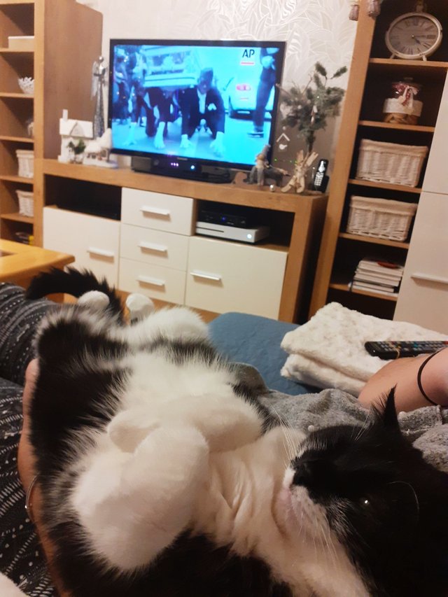 Už 6 rokov!! 